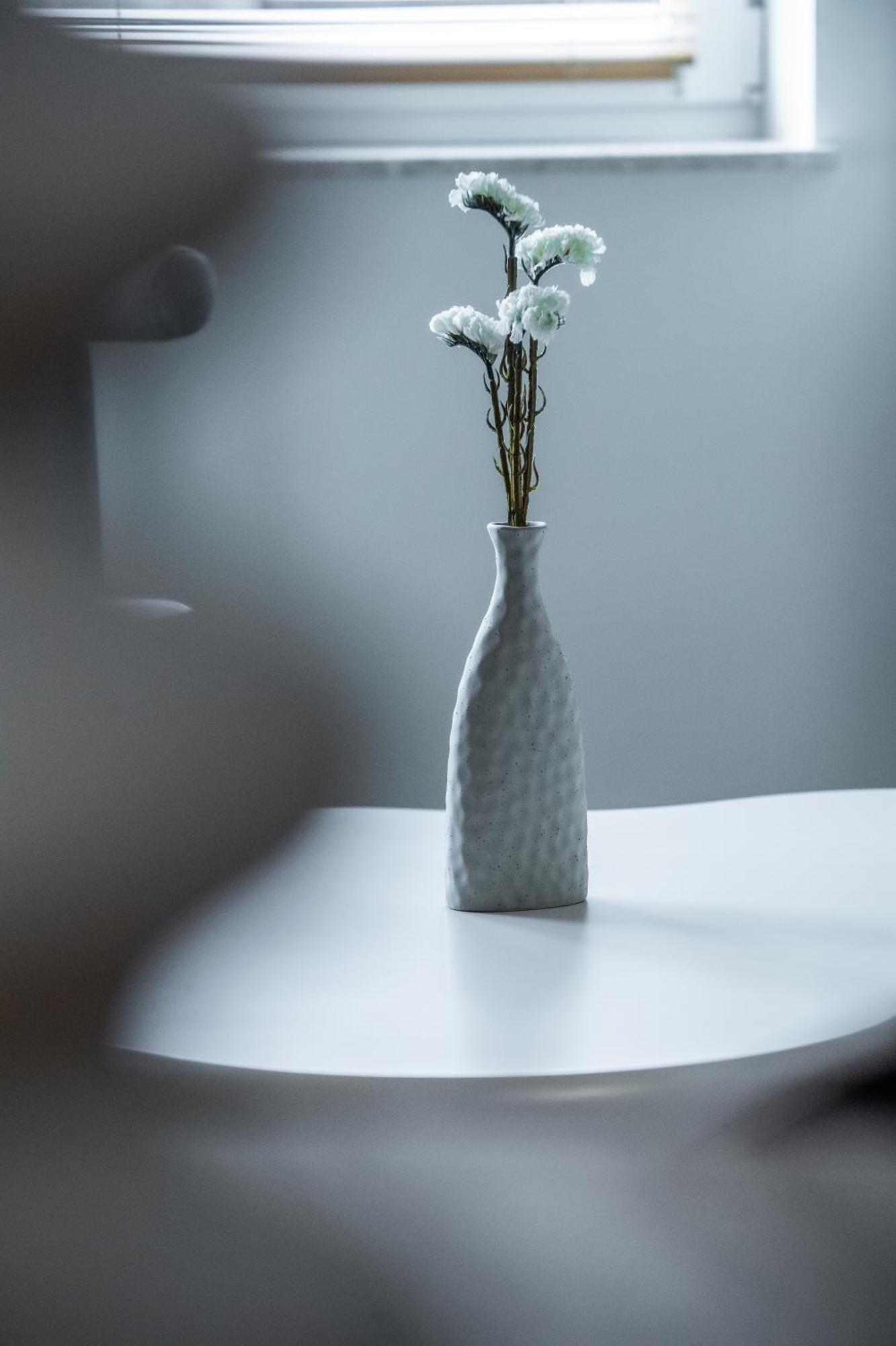 Apartamenty Balijskie Γκλίβιτσε Εξωτερικό φωτογραφία
